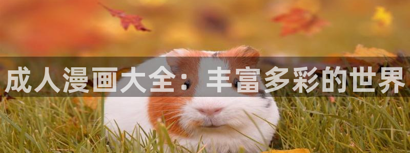 奇漫屋漫画那里下载